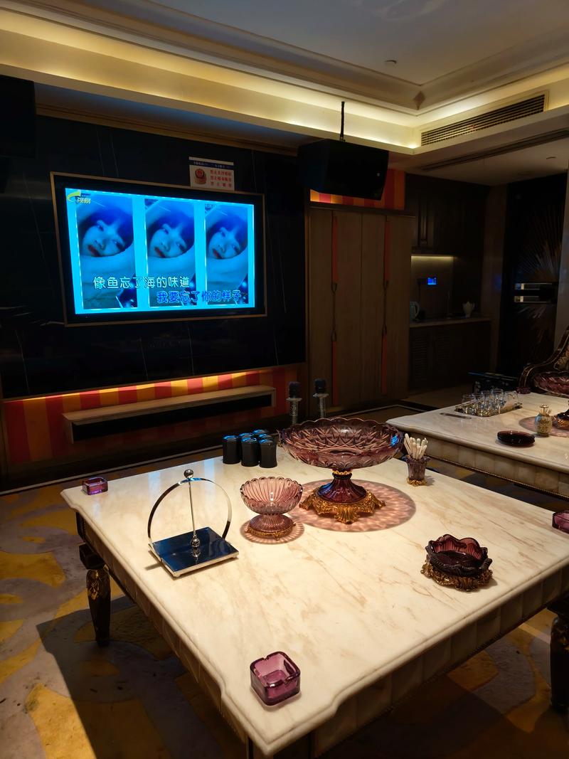 枣庄商务ktv，尽享商务娱乐风采-滕州市ktv预定